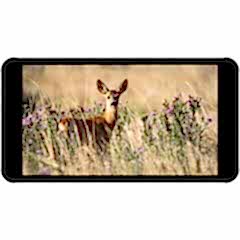 Portkeys PT5II 5 inch Touch Screen Monitör