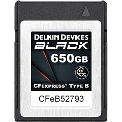 Delkin Devices 650GB Black CFexpress Type-B Hafıza Kartı